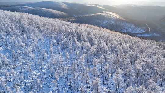 大兴安岭原始森林高山雾凇