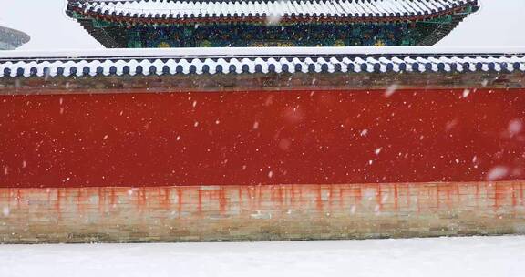 红墙飘雪