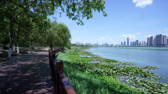 武汉武昌沙湖公园风景
