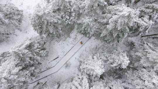 航拍情侣走在鹿儿坪雪后的森林中