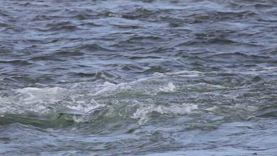 水流慢动作流水升格视频