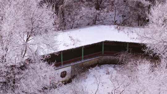 东北本溪水洞冬季雾凇树挂洁白唯美雪景航拍