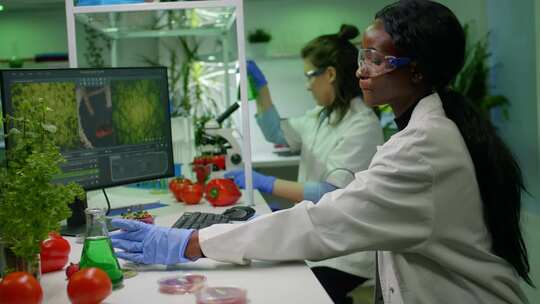 制药科学家观察草莓注射杀虫剂