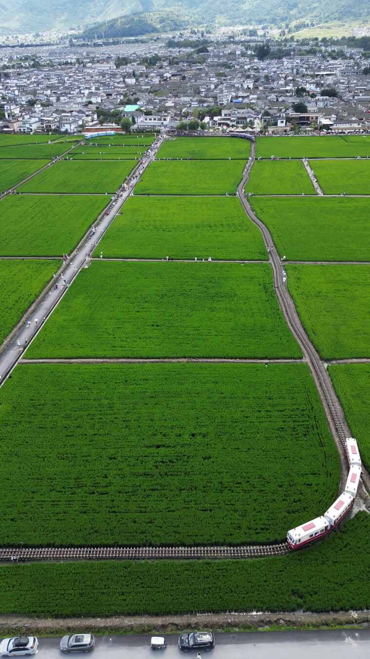 大理稻田火车航拍素材