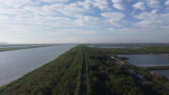 天津市静海区团泊镇生态乡村风光