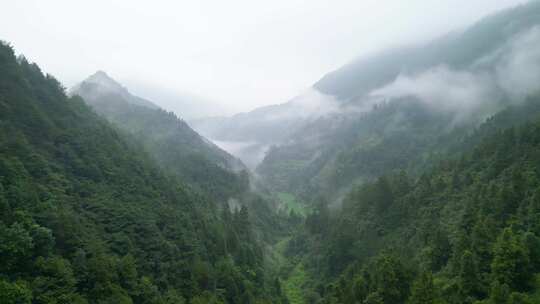 湖南郴州延寿后洞村迷雾山谷