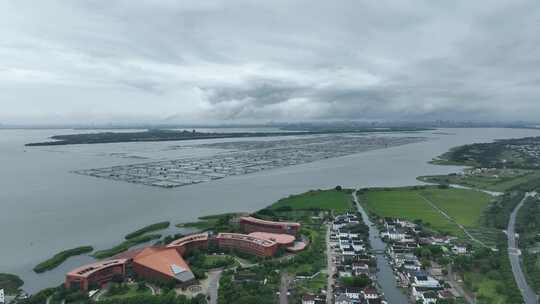 航拍苏州阳澄湖大闸蟹蟹田养殖阳澄湖风光