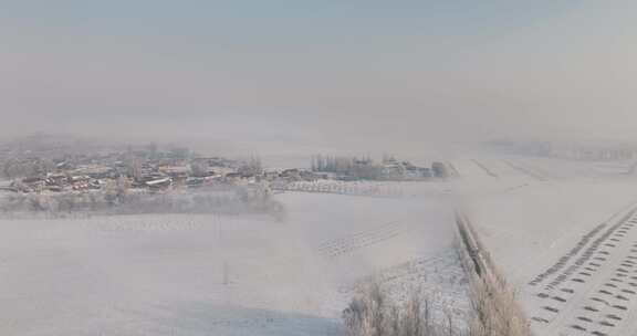 冬日雾霭笼罩下的广阔雪地景象