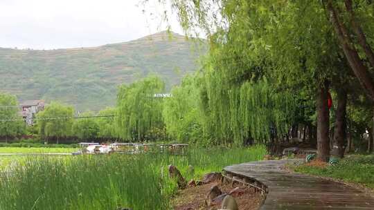 细雨中棣花景区