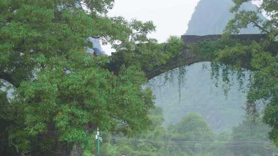 桂林山水阳朔遇龙河烟雨意境风光