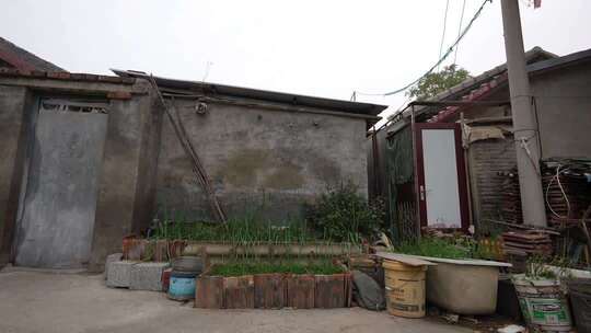 老旧房屋前的盆栽绿植场景