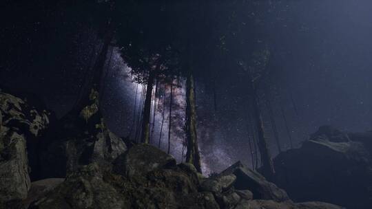 银河下的树林