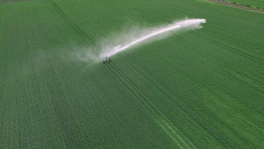 灌溉 农业 现代农业 浇水 农田浇水