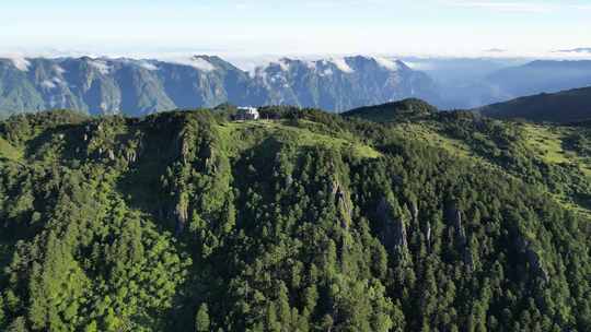 航拍湖北神农架林区原始森林