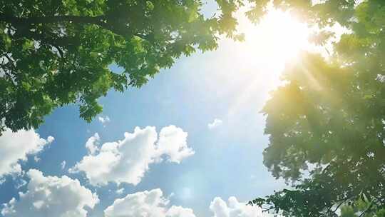 夏天 夏天风景