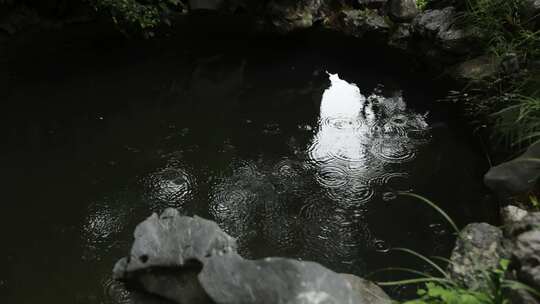 下雨天水波纹池塘水面水滴氛围中式东方禅意