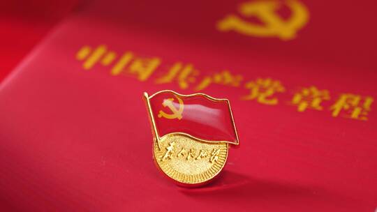 中国共产党党徽，党员戴党徽4k视频素材视频素材模板下载