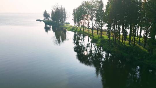 昆明草海湿地航拍