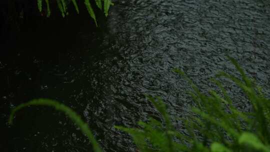 下雨天实拍