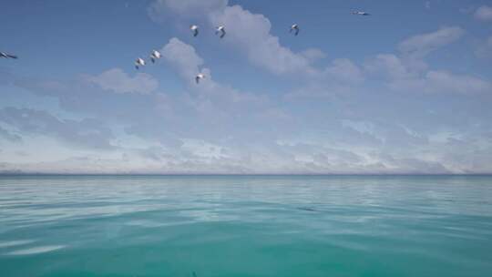 海鸥飞过水面视频素材模板下载