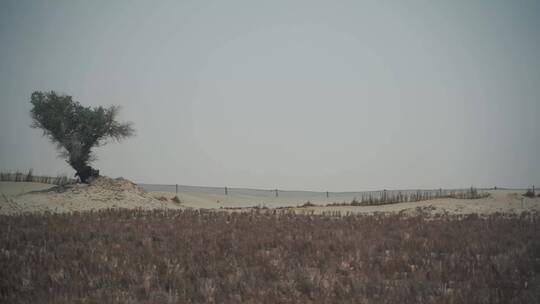 沙漠行驶车窗外风景移动风光景观景色穿梭