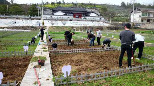 劳动空镜刨土锄地农场工人耕作劳作翻土