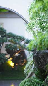 中式园林花园里的植物树和竹子