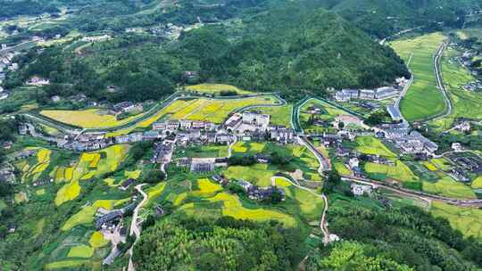 航拍美丽乡村大片稻田振兴大地丰收秋季天