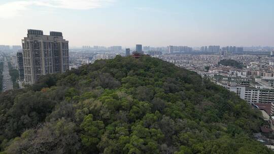 佛山顺德大良凤鸣公园航拍全景