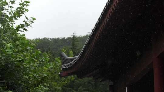 雨天屋檐下雨雨水惊蛰禅意古风清明大暑