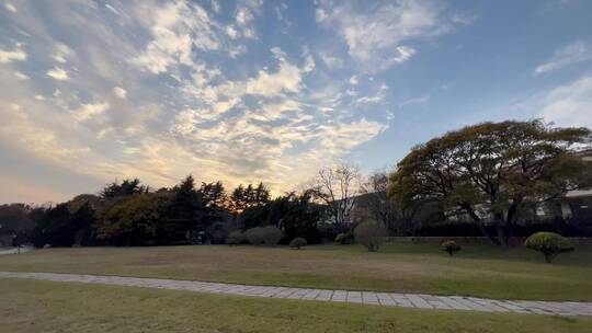 4k 日落下的城市园林自然风光特写