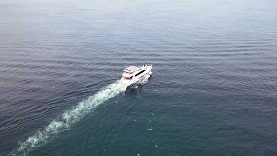 船  轮船  轮船航行 大海风景   大海航拍