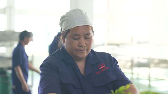 工厂工人作业场景