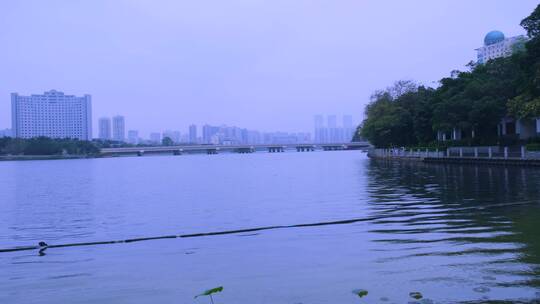 南宁南湖公园城市建筑与湖面荷叶自然景观视频素材模板下载