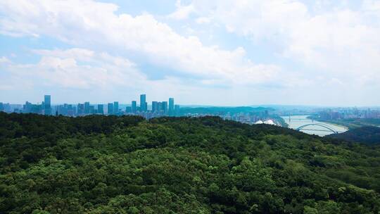 航拍广西南宁青秀山风景区