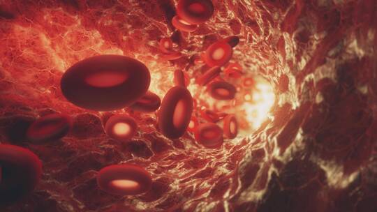 血细胞穿梭在人体血管概念三维