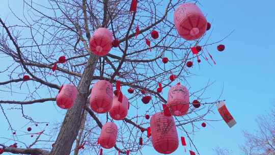 杭州西湖钱王祠新年祈福红灯笼