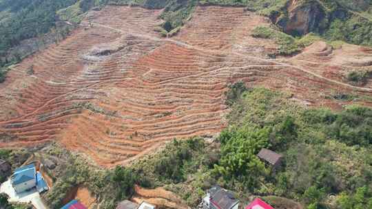 季造林翻耕的高山土地垄