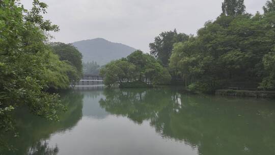 航拍中国浙江杭州浴鹄湾雨天自然水上树林