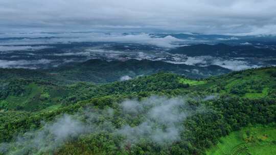 自然森林穿过云雾绿水青山航拍视频