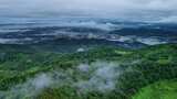 自然森林穿过云雾绿水青山航拍视频高清在线视频素材下载