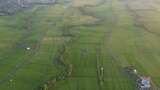 印度尼西亚稻田鸟瞰图高清在线视频素材下载
