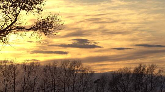 金云落日夕阳云朵金色天空树木空镜