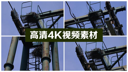 铁塔上的鸟窝 高压电塔视频素材模板下载
