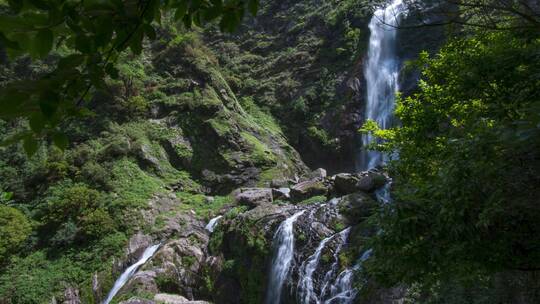 森林瀑布流水