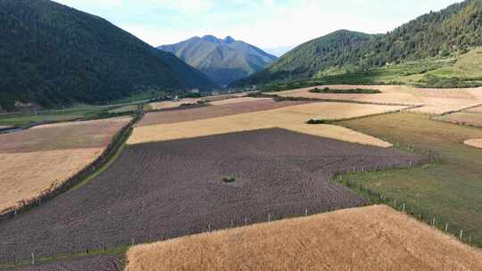 航拍四川甘孜贡嘎山乡上城子村田园风光