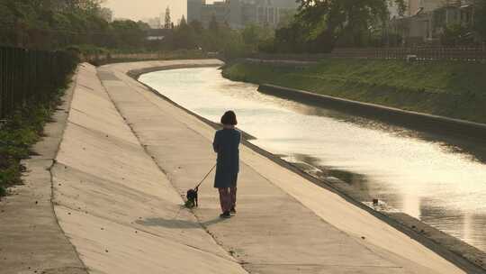 午后一个人在河边遛狗
