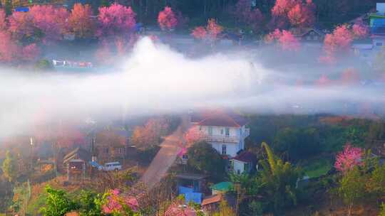 延时航拍绿植环绕的乡村