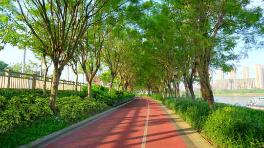 阳光林荫小路 跑道 绿道 骑行道