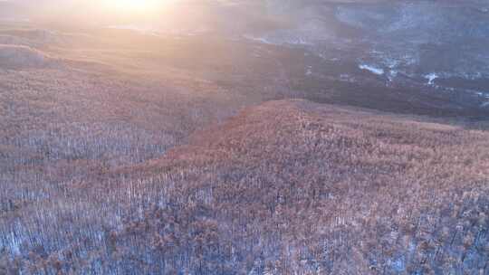 大兴安岭冬季林海雪原暖阳